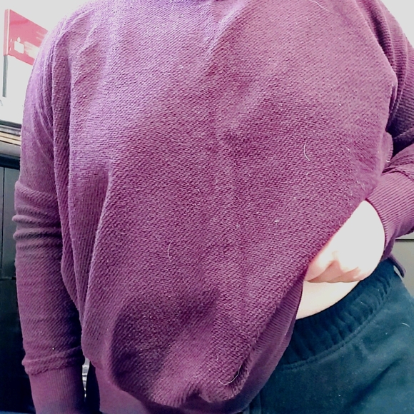 Aerie Sweatshirt - Picture 1 of 3